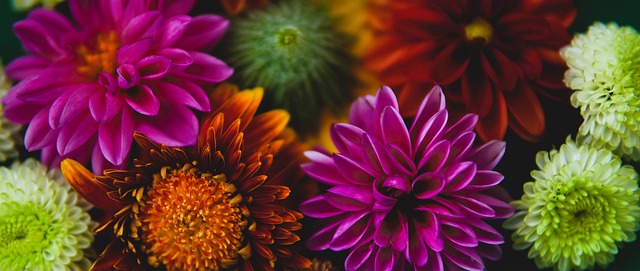 山西男篮捡到宝了！193cm后卫实力强劲，3场比赛场均30+