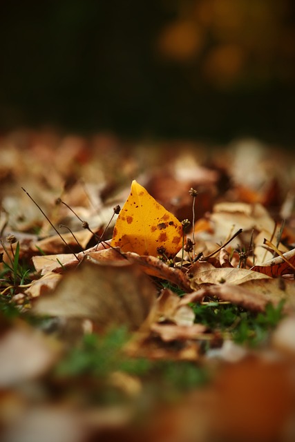 本坦库尔告别孙兴慜：热刺见证了你从少年成长为传奇的全过程