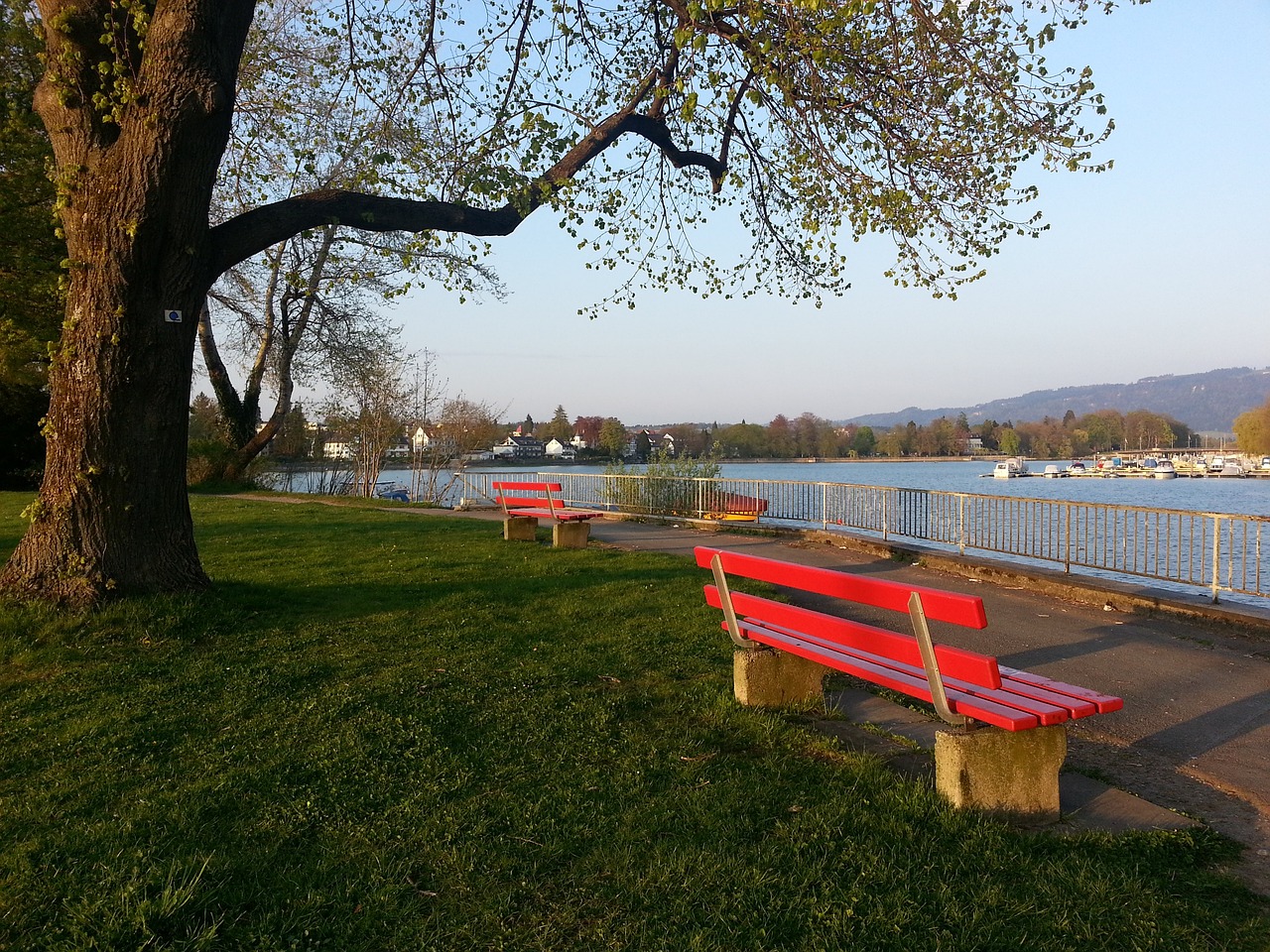 西甲第15轮观赛指南：皇马迎击塞尔塔；巴萨作客挑战贝蒂斯